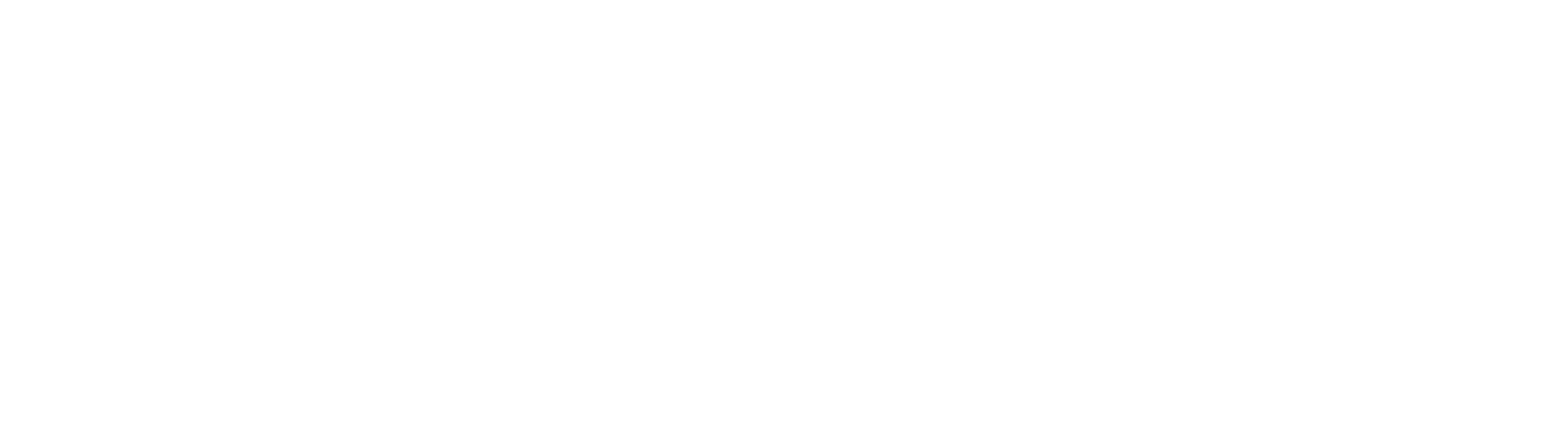 PINDEX Logo White