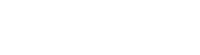 PINDEX Logo