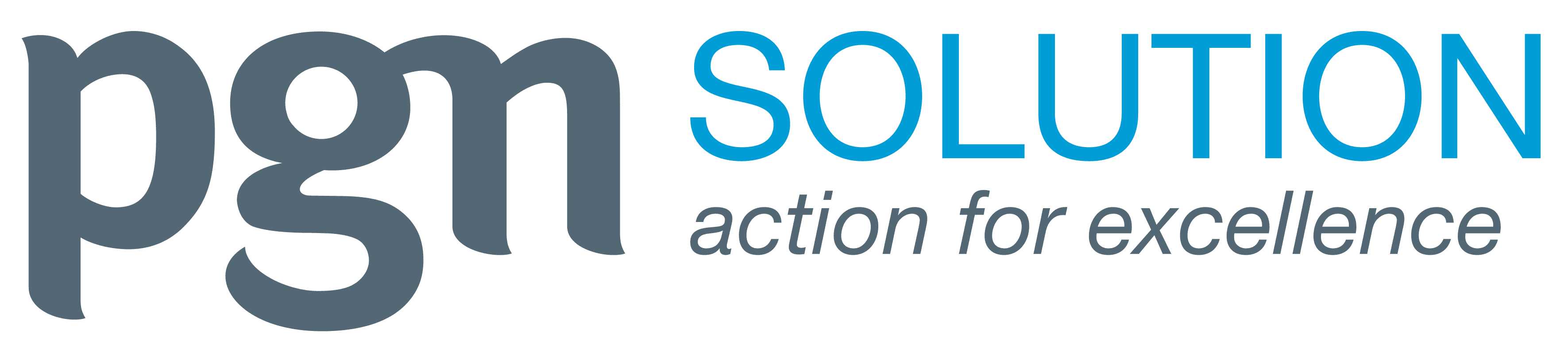 PT PGAS Solution